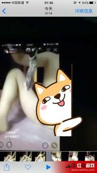 黄蟮门视频,一场网络视频引发的争议风暴