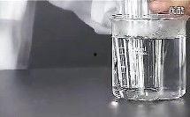 蔗糖视频,揭秘甜蜜背后的故事