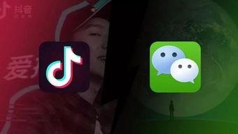 抖音发什么视频会火,热门内容创作指南