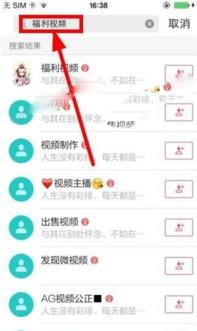 国产啪啪视频在线,揭秘国内私密娱乐产业的现状与争议