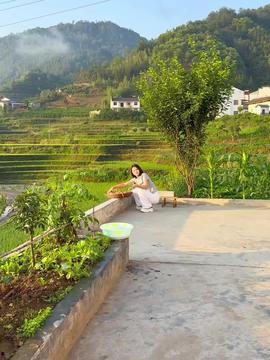 乡村视频,探寻自然之美与人文之韵