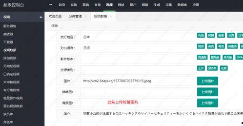 视频网站cms,构建高效内容管理系统的奥秘