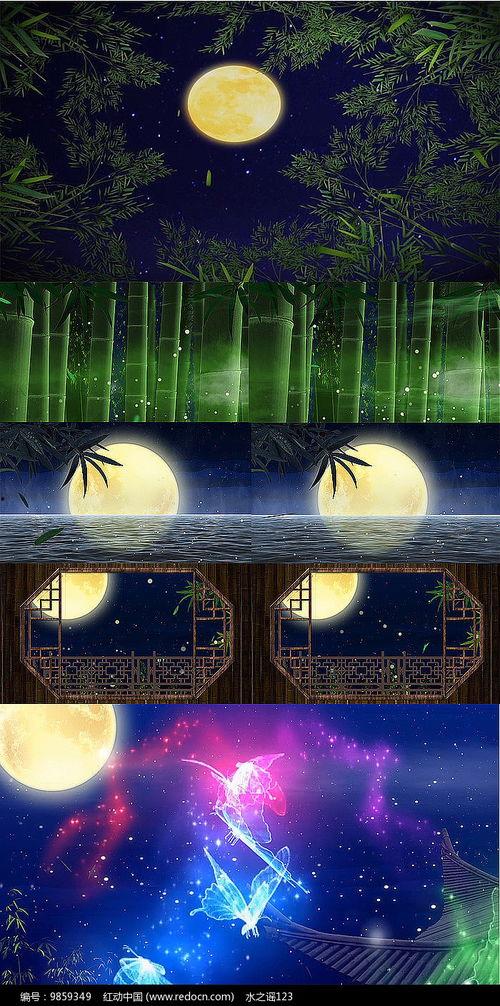 月光下的凤尾竹视频,一场视觉与心灵的邂逅